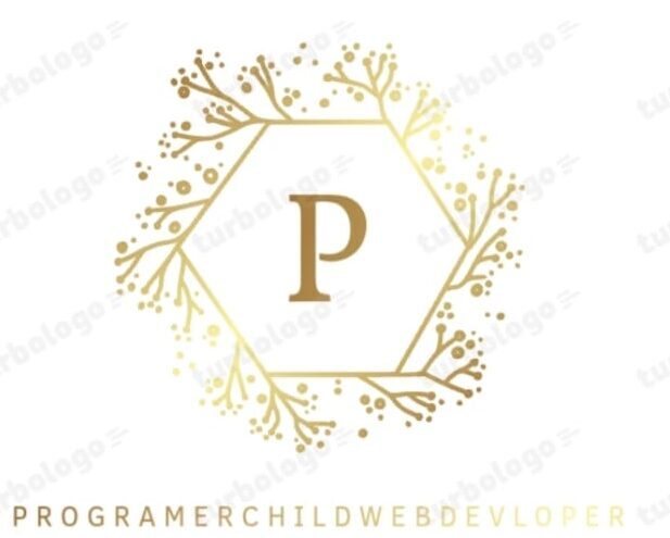 Web Developer Parv Saxena